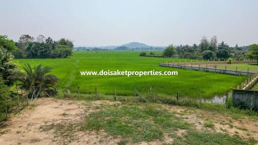 1-Rai of Prime Land for Sale in Luang Nuea, Doi Saket, Chiang Mai