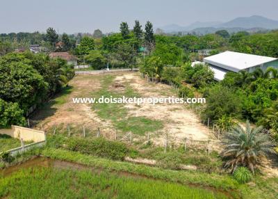 1-Rai of Prime Land for Sale in Luang Nuea, Doi Saket, Chiang Mai