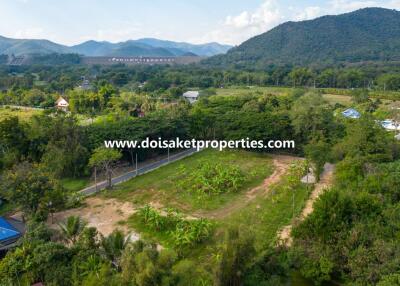 2.5+ Rai of Nice Land for Sale in Luang Nuea, Doi Saket