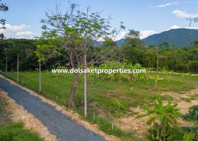 2.5+ Rai of Nice Land for Sale in Luang Nuea, Doi Saket