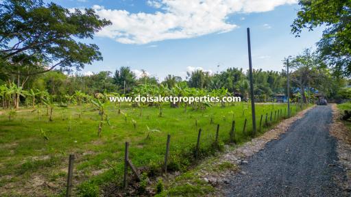 2.5+ Rai of Nice Land for Sale in Luang Nuea, Doi Saket