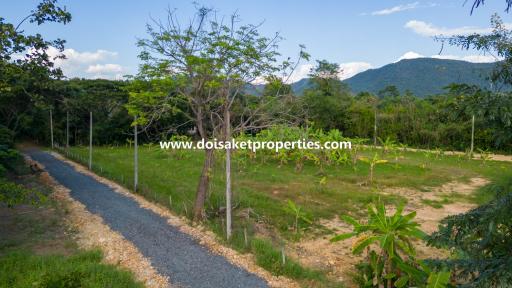 2.5+ Rai of Nice Land for Sale in Luang Nuea, Doi Saket