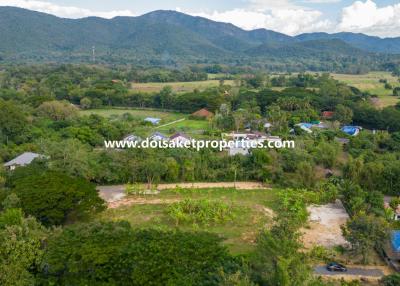 2.5+ Rai of Nice Land for Sale in Luang Nuea, Doi Saket