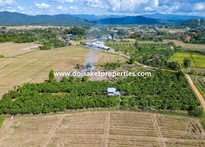 Beautiful 4+ Rai Plot of Land with Great Views for Sale in Luang Nuea, Doi Saket