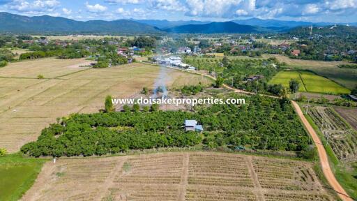 Beautiful 4+ Rai Plot of Land with Great Views for Sale in Luang Nuea, Doi Saket