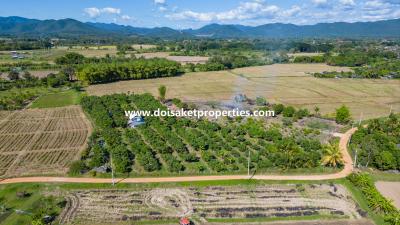 Beautiful 4+ Rai Plot of Land with Great Views for Sale in Luang Nuea, Doi Saket