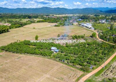 Beautiful 4+ Rai Plot of Land with Great Views for Sale in Luang Nuea, Doi Saket