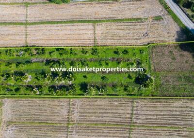 2+ Rai of Land with Views for Sale in Luang Nuea, Doi Saket