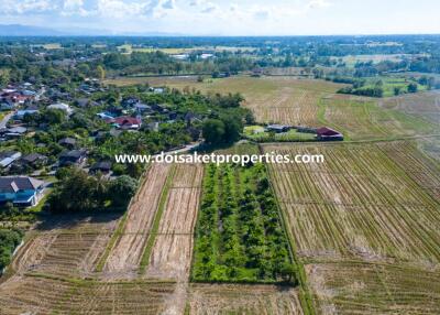 2+ Rai of Land with Views for Sale in Luang Nuea, Doi Saket