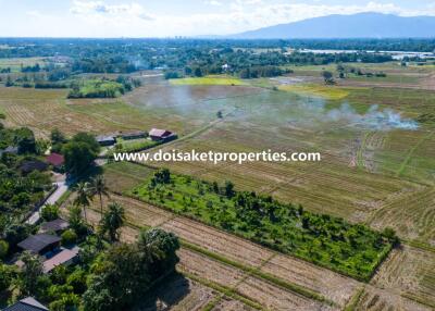 2+ Rai of Land with Views for Sale in Luang Nuea, Doi Saket