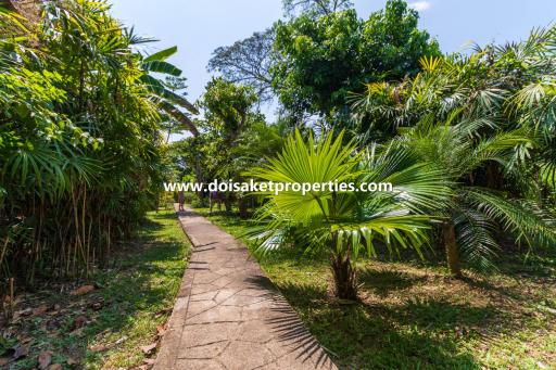 5-Bedroom Family Home and Guest Bungalow with Gorgeous Gardens for Sale near Tao Garden in Luang Nuea, Doi Saket