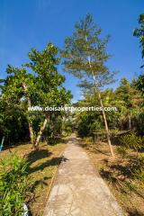 5-Bedroom Family Home and Guest Bungalow with Gorgeous Gardens for Sale near Tao Garden in Luang Nuea, Doi Saket