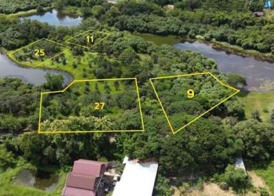 1 Rai of Nice Land for Sale in Pha Pai, San Sai, Chiang Mai