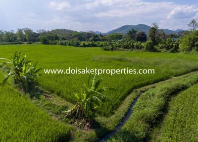 7.5+ Rai of Land with Great Views in Luang Nuea, Doi Saket