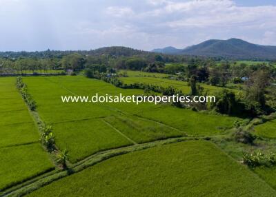 7.5+ Rai of Land with Great Views in Luang Nuea, Doi Saket