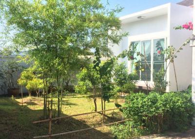**Stunning House For Sale in Cherngtalay!**