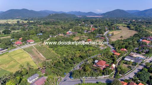 Nice Plot of Land Full of Longan Trees for Sale in Luang Nuea, Doi Saket