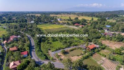 Nice Plot of Land Full of Longan Trees for Sale in Luang Nuea, Doi Saket