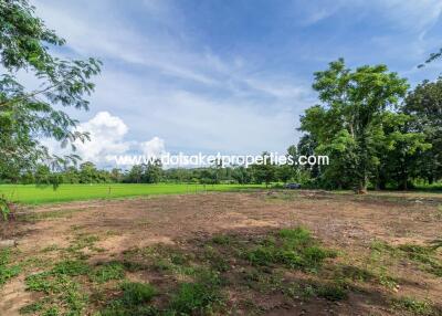 Nice Plot of Land with Rice Paddy and Mountain Views for Sale in a Moo Ban in Doi Saket