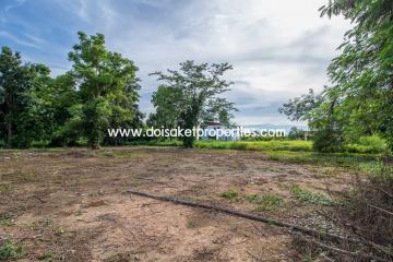 Nice Plot of Land with Rice Paddy and Mountain Views for Sale in a Moo Ban in Doi Saket