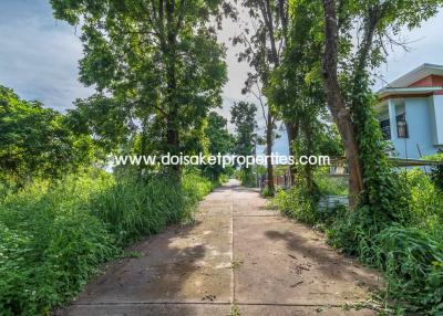 Nice Plot of Land with Rice Paddy and Mountain Views for Sale in a Moo Ban in Doi Saket