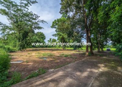 Nice Plot of Land with Rice Paddy and Mountain Views for Sale in a Moo Ban in Doi Saket