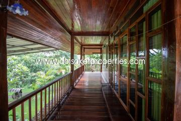 Cool Design House and Coffee Shop on Nearly 4 Rai of Land for Sale in Doi Saket