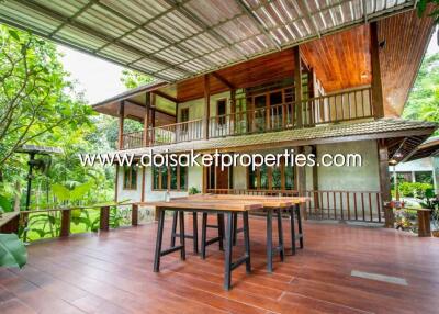 Cool Design House and Coffee Shop on Nearly 4 Rai of Land for Sale in Doi Saket