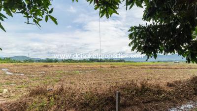 Lovely Plot of Land Ready to Build on in Doi Saket