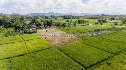 Beautiful plot of land surrounded by nature Pa Pong, Doi Saket.