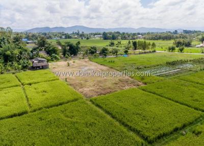 Beautiful plot of land surrounded by nature Pa Pong, Doi Saket.