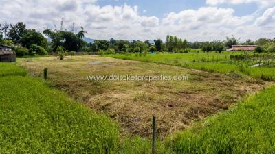 Beautiful plot of land surrounded by nature Pa Pong, Doi Saket.