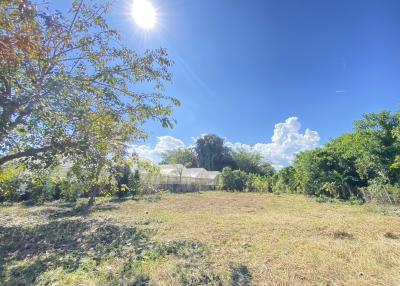 Beautiful 1 Rai plot of land for sale in Mae Faek, Mae Jo