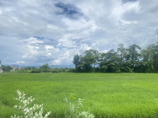 14-3-82 Rai of land for sale near San Kamphaeng