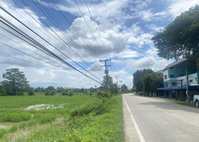 14-3-82 Rai of land for sale near San Kamphaeng