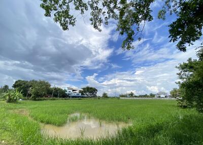 14-3-82 Rai of land for sale near San Kamphaeng