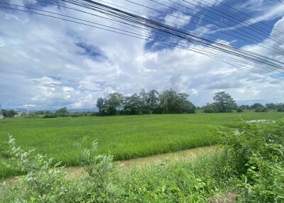 14-3-82 Rai of land for sale near San Kamphaeng