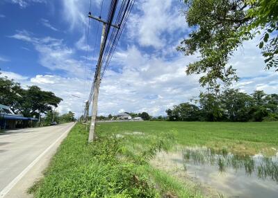 14-3-82 Rai of land for sale near San Kamphaeng