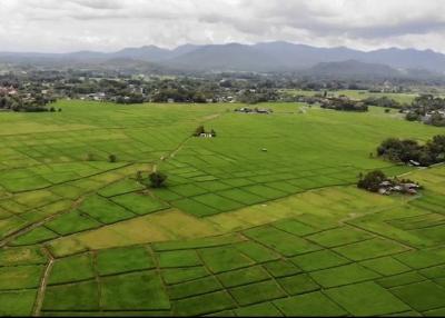 12 Rai of rice paddy field for sale in Doi Saket