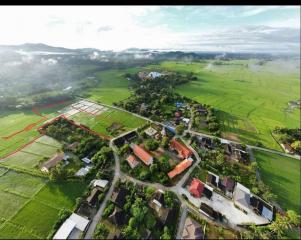 12 Rai of rice paddy field for sale in Doi Saket