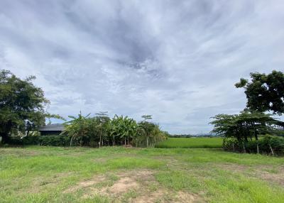 Urgent sale!! Plot of land ready to build a house in Mae Rim