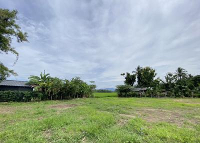Urgent sale!! Plot of land ready to build a house in Mae Rim