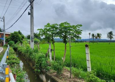 ขายที่ดิน 72 ไร่ในดอยสะเก็ด