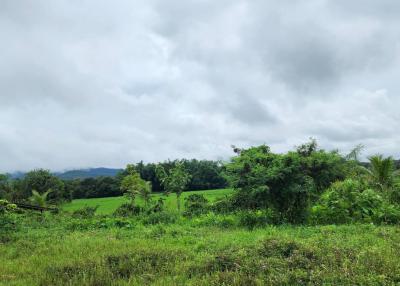 72 Rai of land for sale in Doi Saket