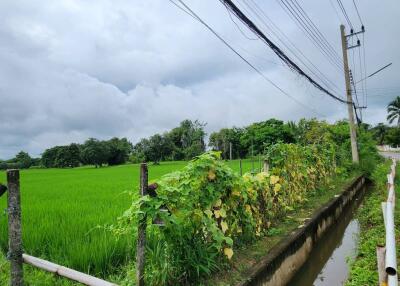 ขายที่ดิน 72 ไร่ในดอยสะเก็ด