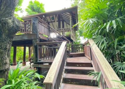 Unique Lanna designed for sale in San Kampaeng