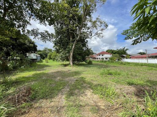 Beautiful 2 Rai plot of land for sale in Mae Rim