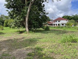 Beautiful 2 Rai plot of land for sale in Mae Rim