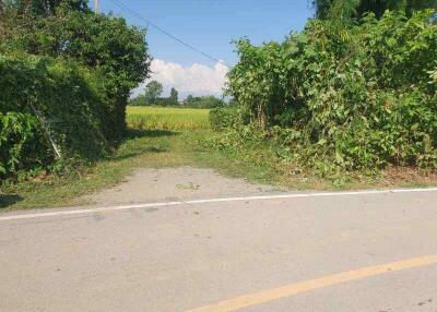 7 Rai Land for Sale in Chiang Mai, San Kamphaeng  Good Access