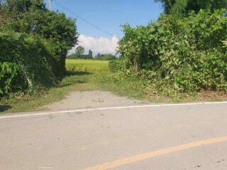 7 Rai Land for Sale in Chiang Mai, San Kamphaeng  Good Access